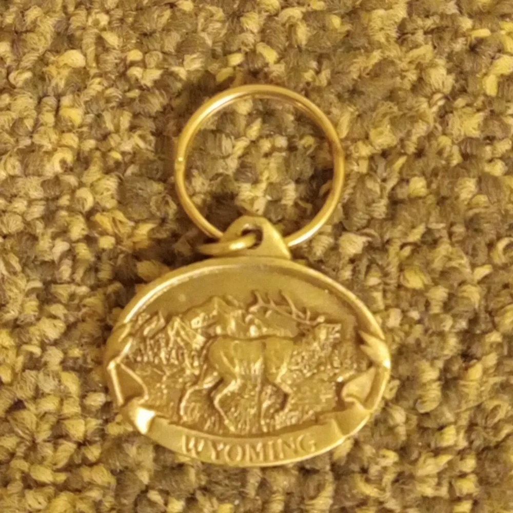 Wyoming Vintage silver tone keychain